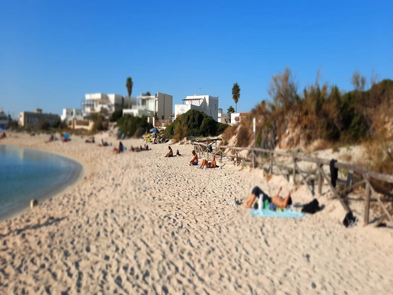 Salentissimo.it: The Beach Sofia - Porto Cesareo, spiagge del Salento