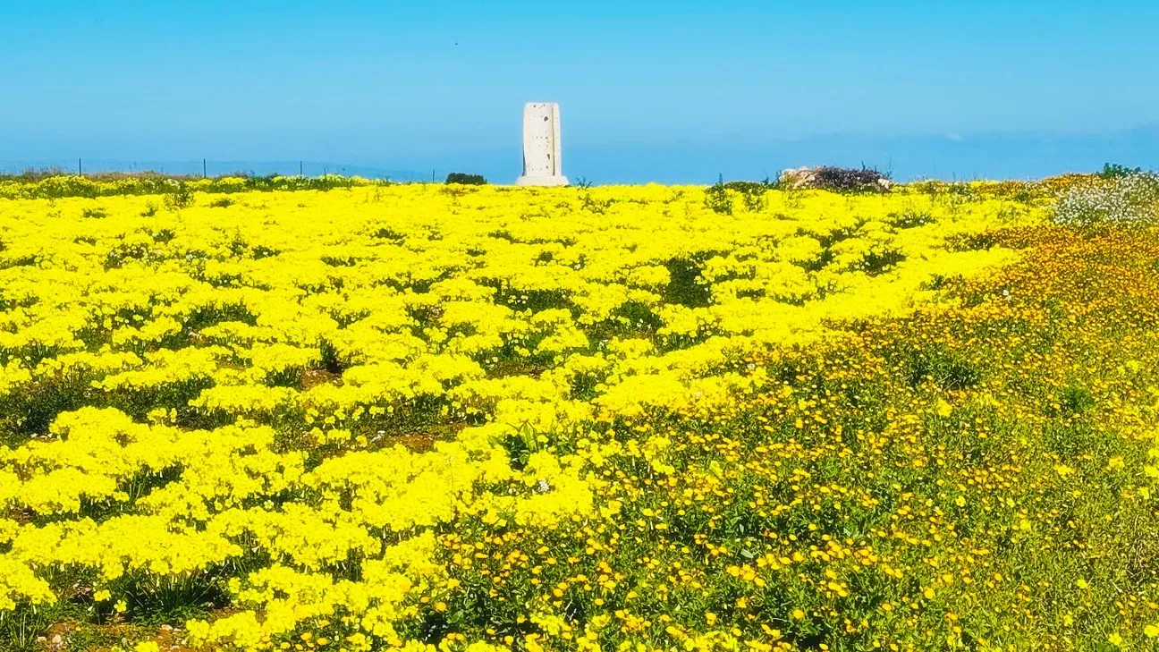 Salentissimo.it: Torre del Serpe - Otranto, spiagge del Salento