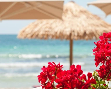 Salentissimo.it: Conchiglia Azzurra Beach - Porto Cesareo, spiagge del Salento