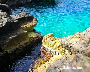 Salentissimo.it: I Salotti - Santa Caterina - Nardò, spiagge del Salento