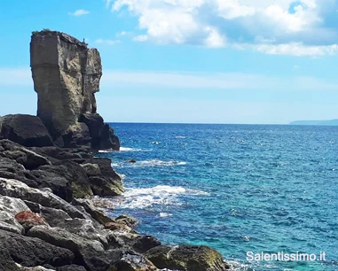 Salentissimo.it: Porto di Miggiano - Porto Miggiano - Santa Cesarea Terme, spiagge del Salento