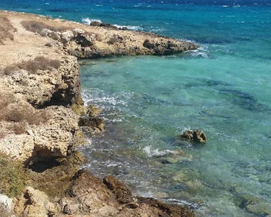 Salentissimo.it: Punta Pizzo - Torre del Pizzo - Gallipoli, spiagge del Salento