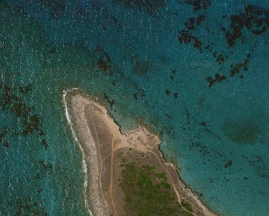 Salentissimo.it: Punta Pizzo - Torre del Pizzo - Gallipoli, spiagge del Salento