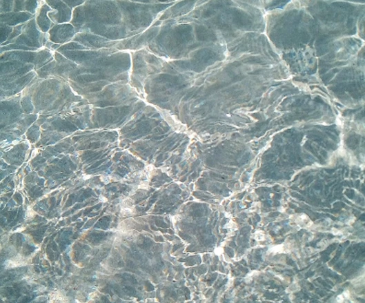Salentissimo.it: Spiaggia di Lido Conchiglie - Lido Conchiglie - Sannicola, spiagge del Salento