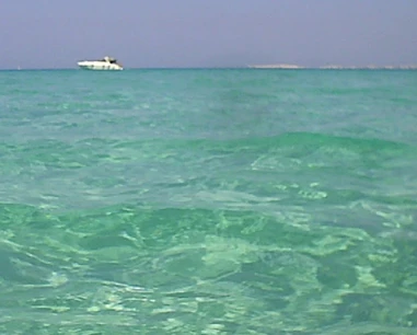 Salentissimo.it: Spiaggia di Punta del Pizzo - Torre del Pizzo - Gallipoli, spiagge del Salento