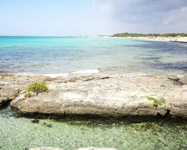 Salentissimo.it: Spiaggia di Punta Grossa - Punta Prosciutto - Porto Cesareo, beaches of Salento