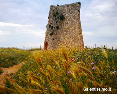 Salentissimo.it: Torre Minervino -  Santa Cesarea Terme, Salento-strande