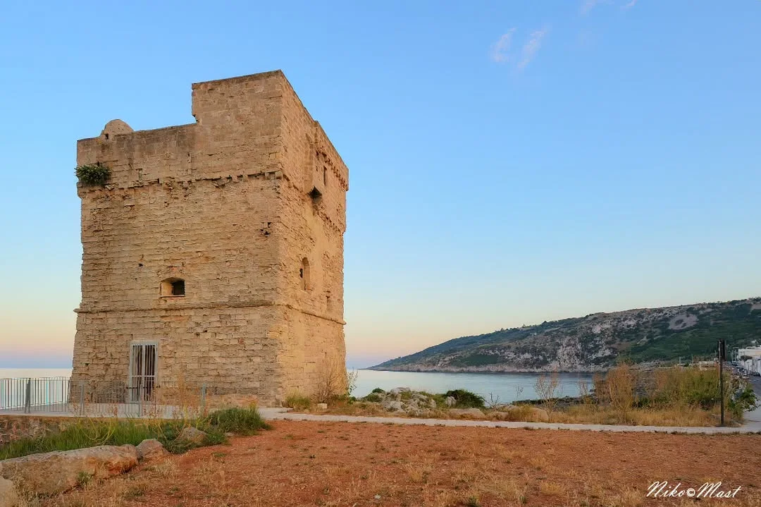 Torre Palane